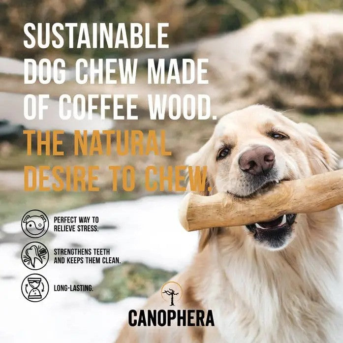 Small Coffee Wood Chew