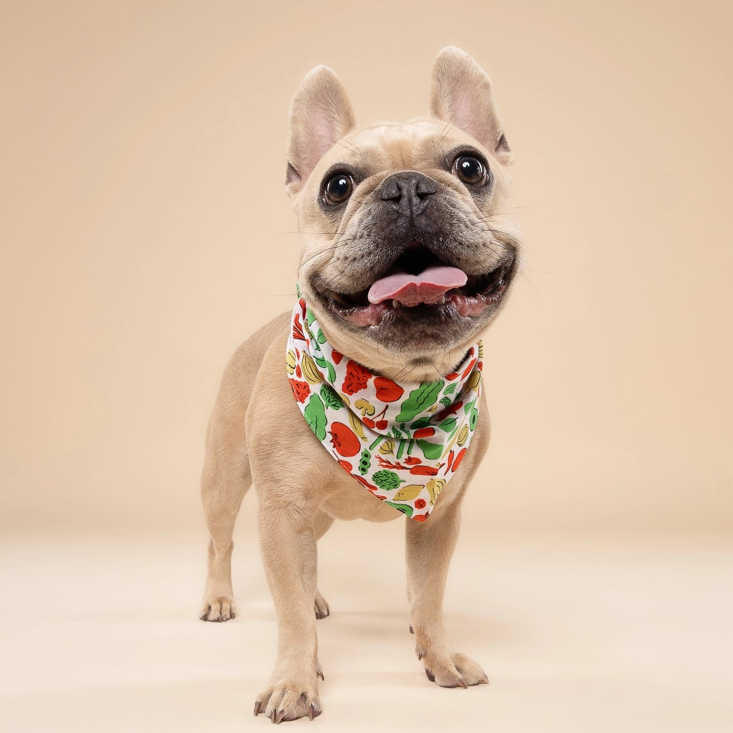 High-Quality Farmers Market Bandana - Van Emburgh Dogs