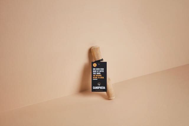 Small Coffee Wood Chew