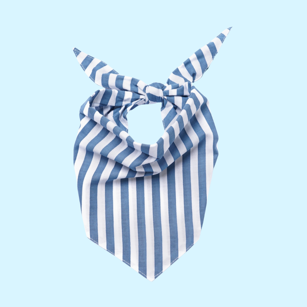 Summer Striped Bandana