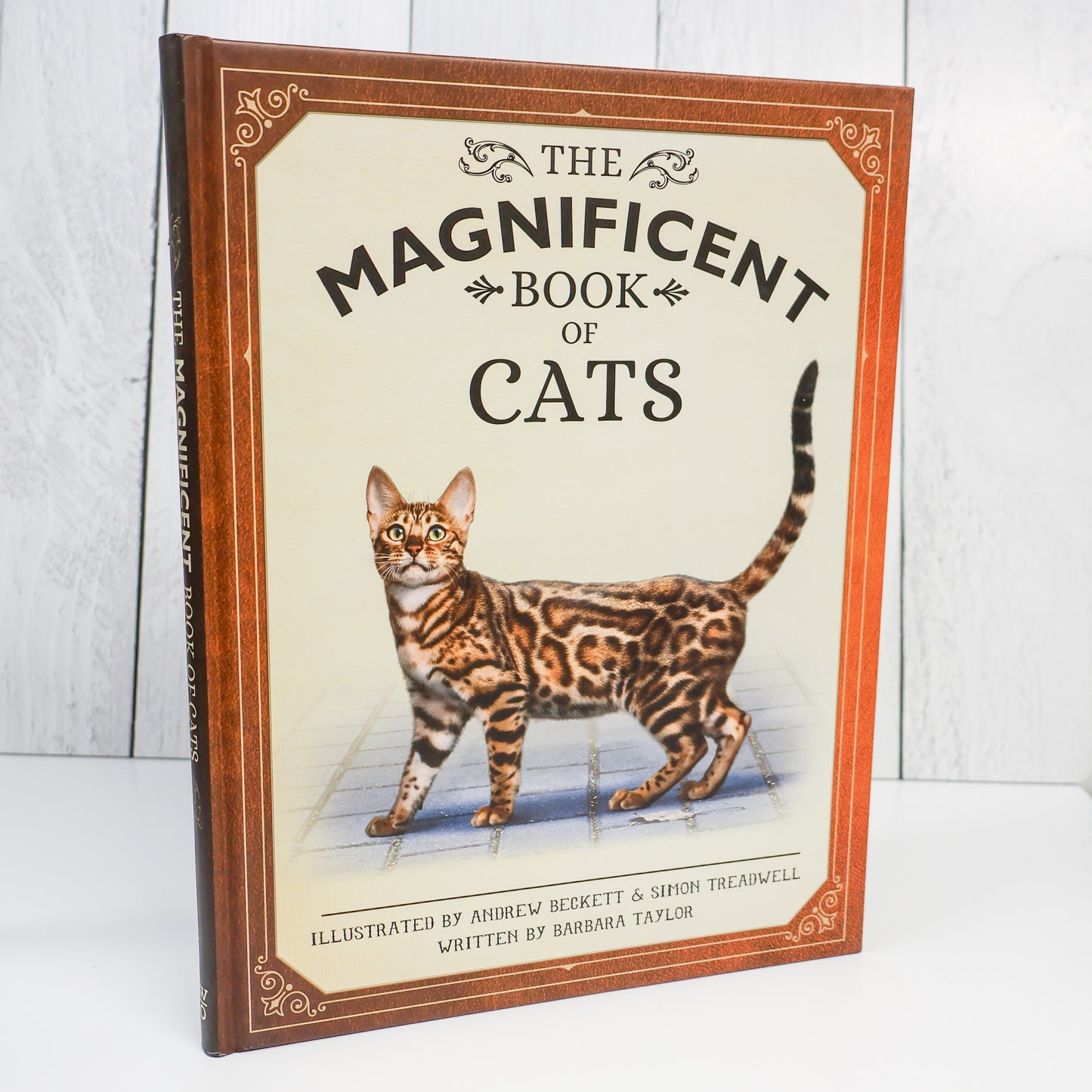 The Magnificent Book of Cats