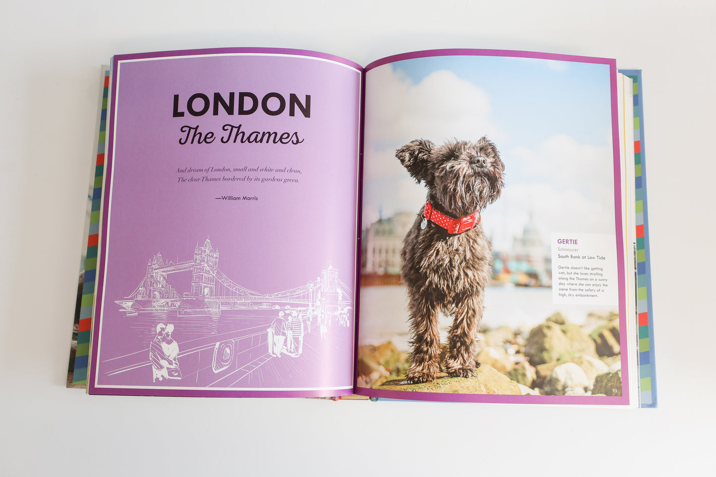 Canines of London by Bridget Davey