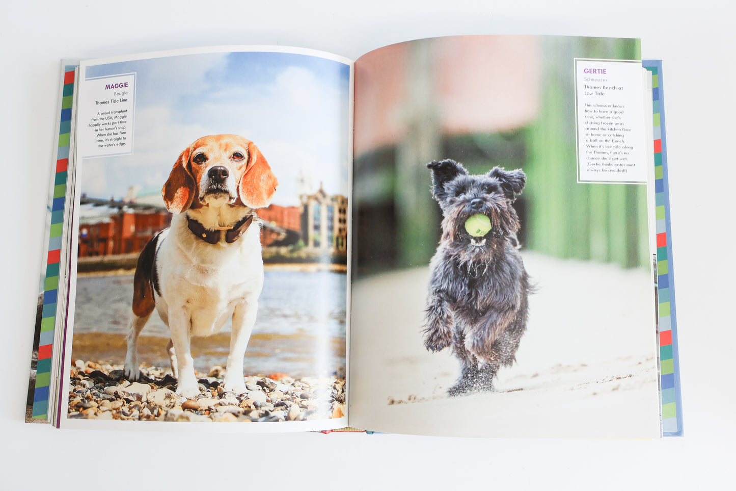 Canines of London by Bridget Davey