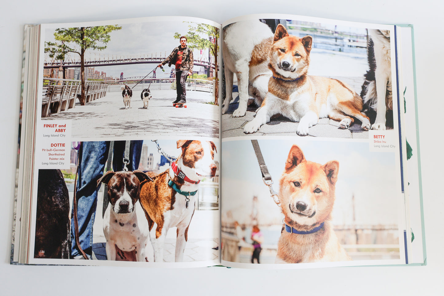 Canines of New York by Heather Weston