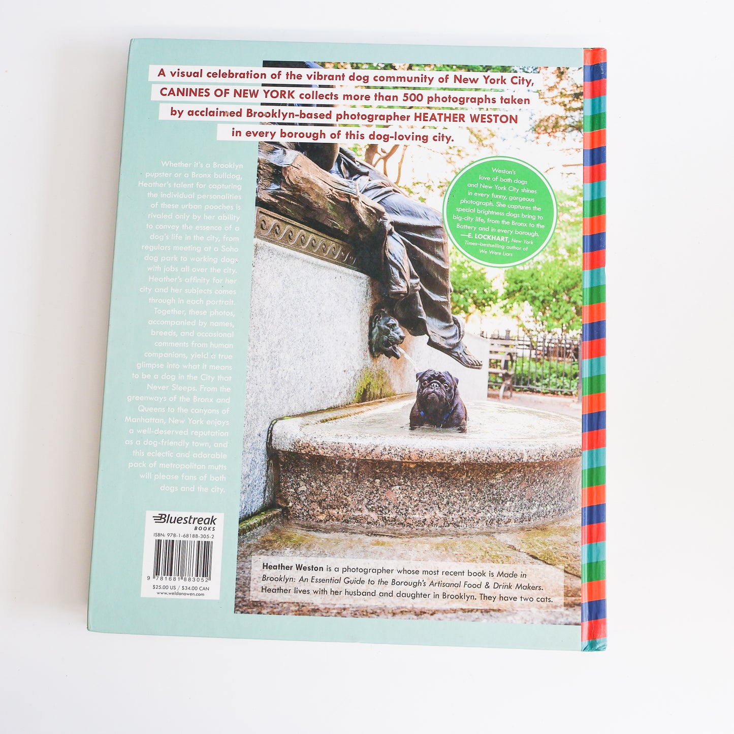 Canines of New York by Heather Weston