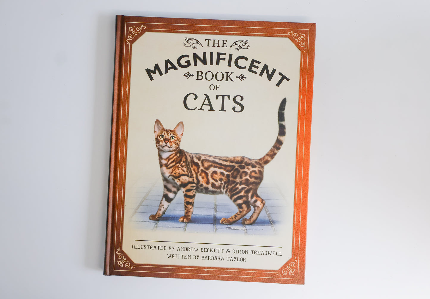 The Magnificent Book of Cats