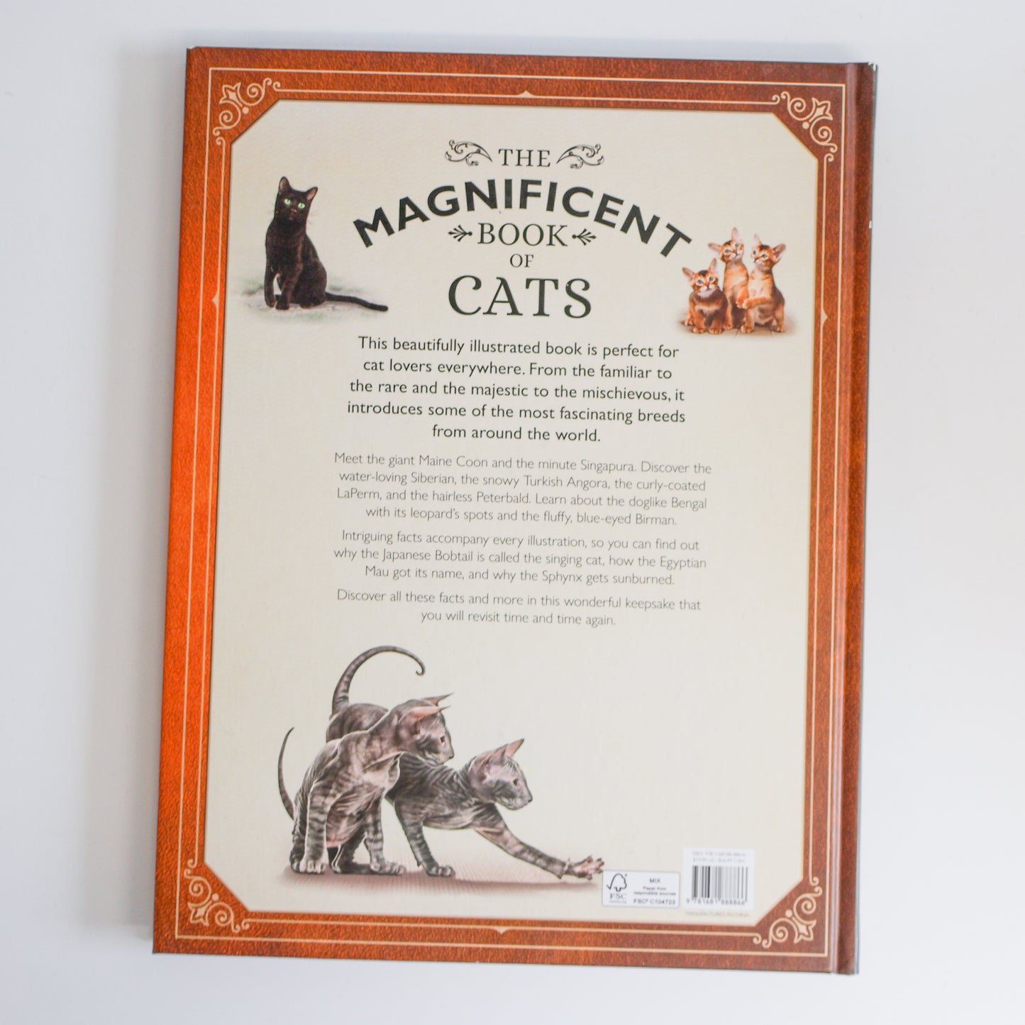 The Magnificent Book of Cats