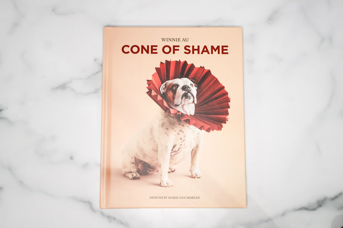 Cone of Shame