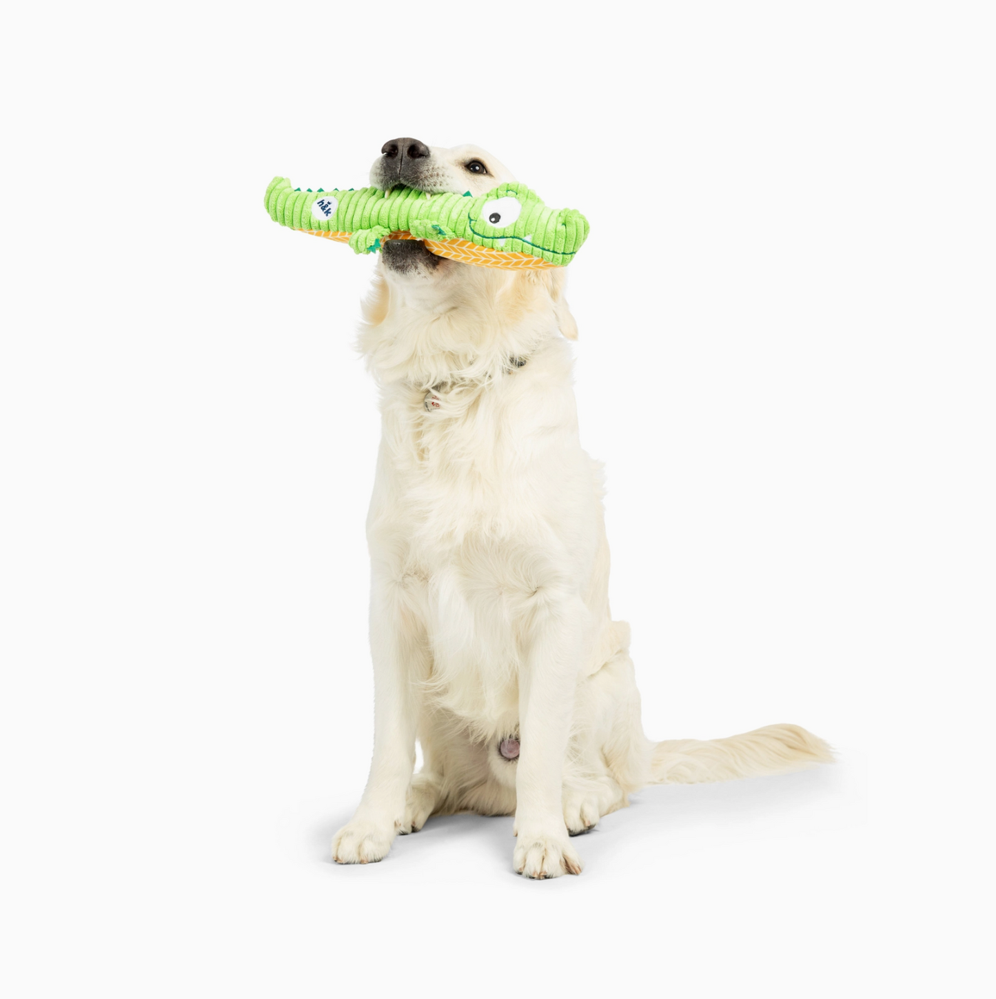 Fetchies® Gus Gator Dog Toy