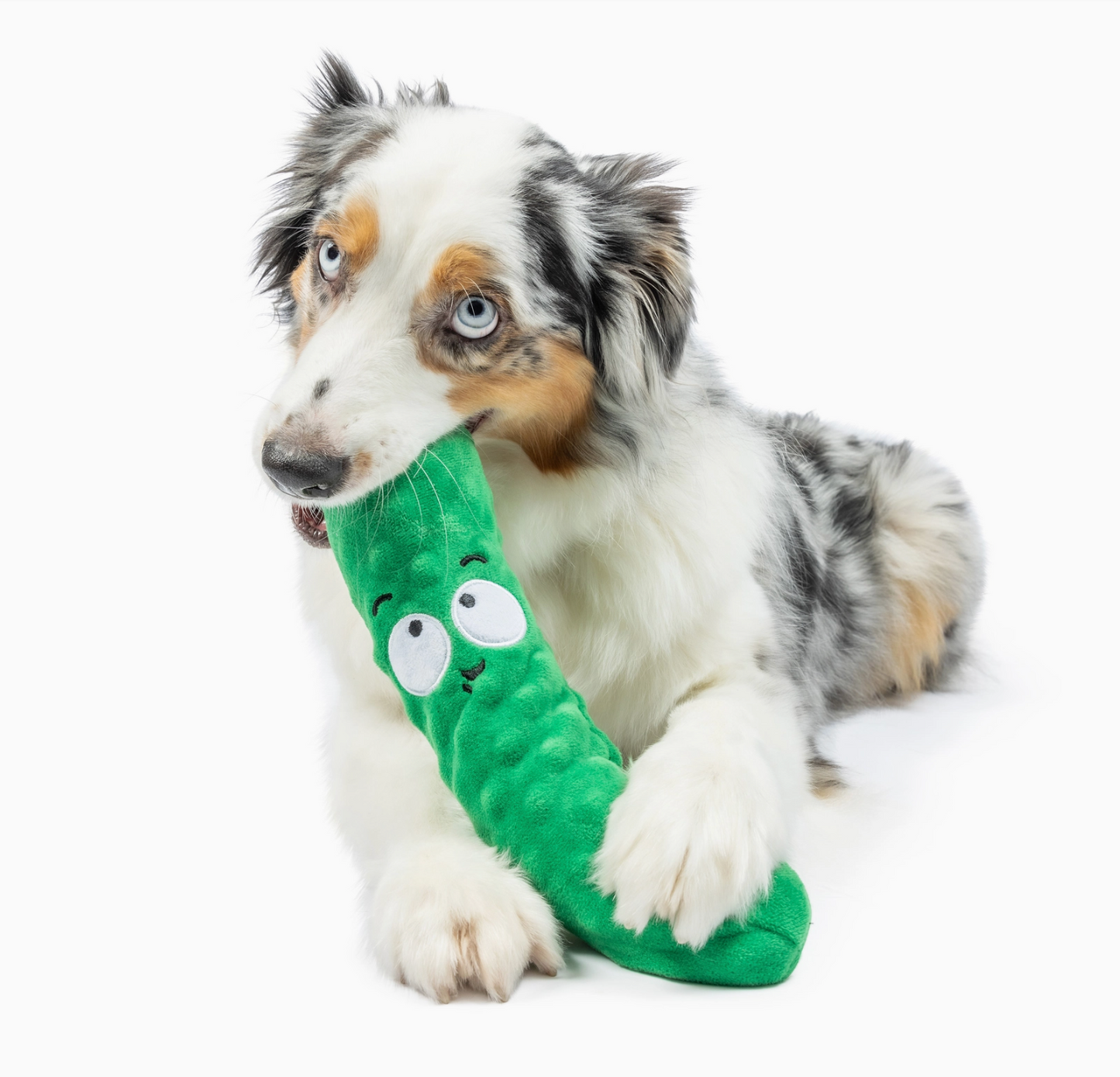 Fetchies® Dill Pickle Dog Toy