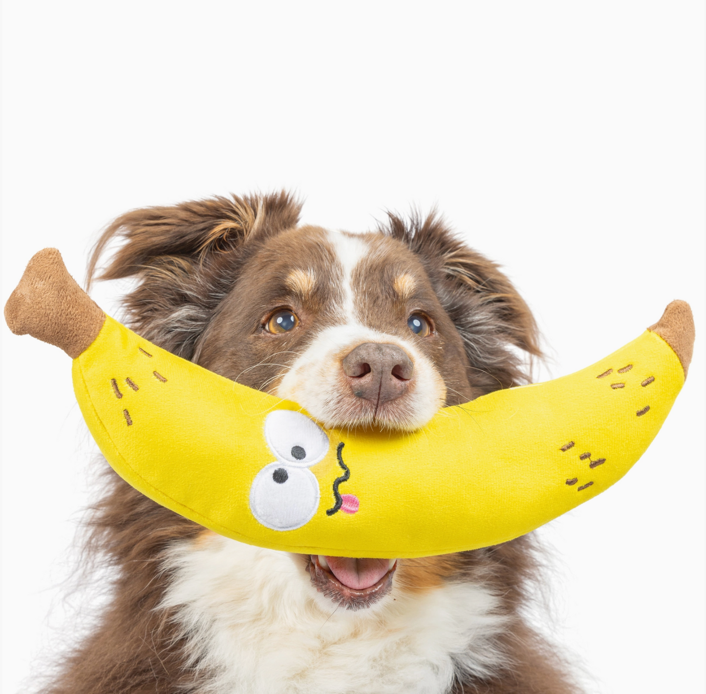 Fetchies® Bruiser Banana Dog Toy