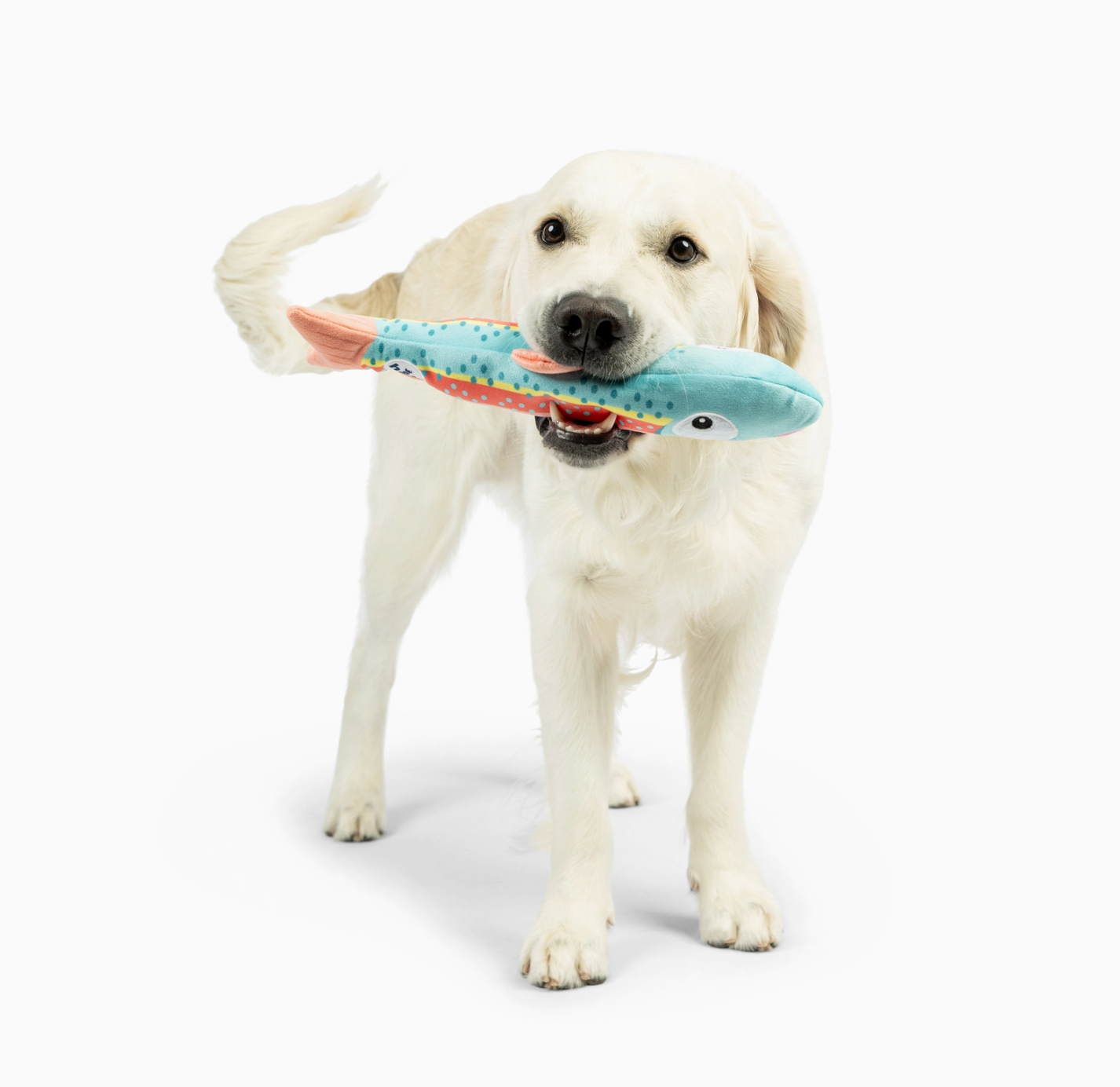 Fetchies® Travis Trout Dog Toy