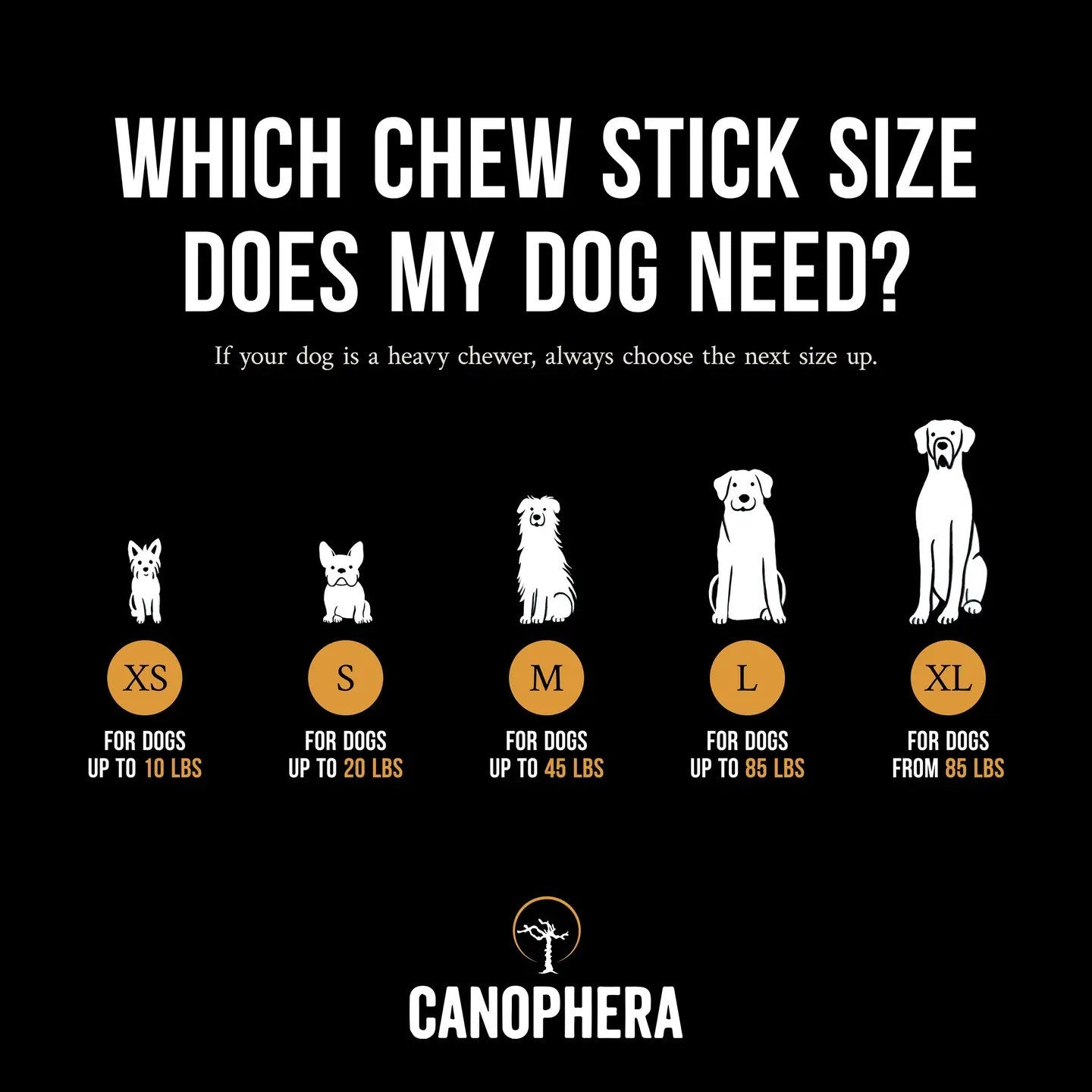 Large Coffee Wood Chew