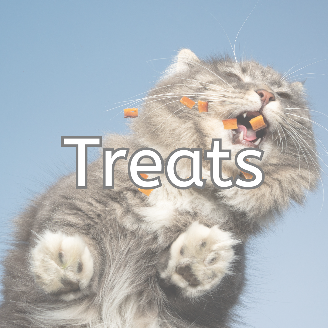 Cat Treats