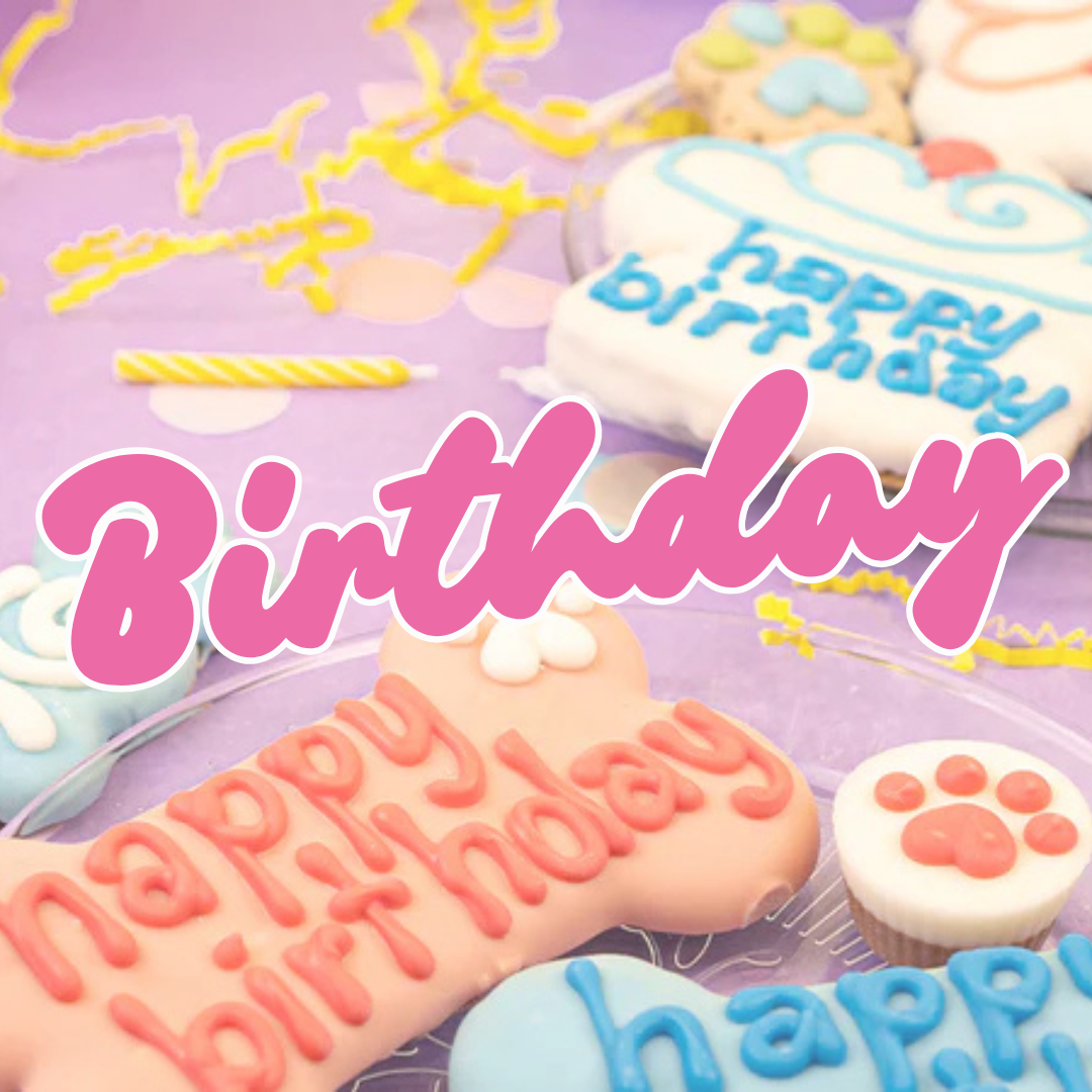Birthday