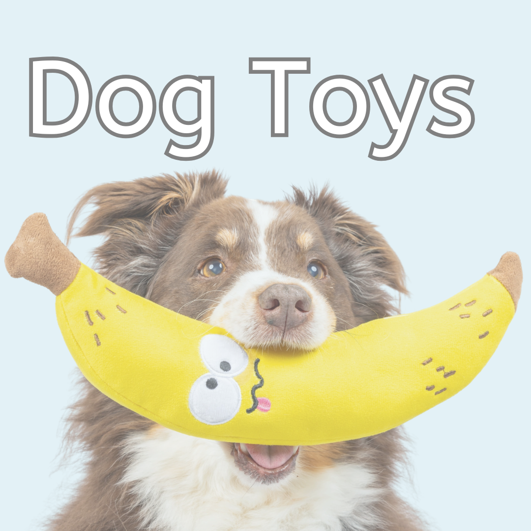 Dog Toys