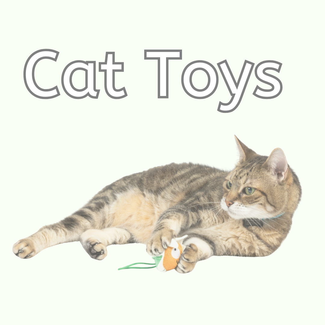 Cat Toys