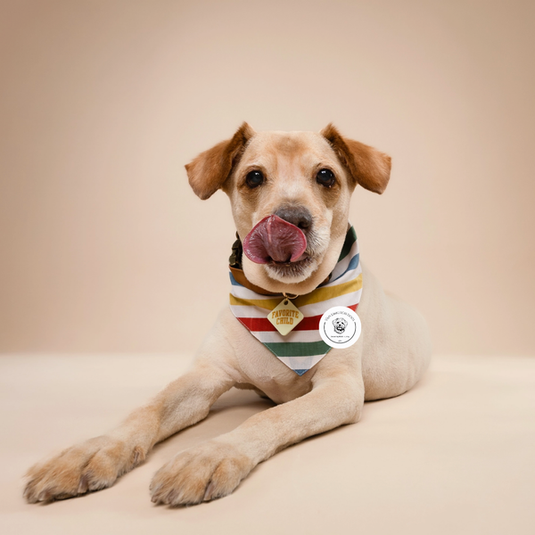Striped Bandana - Van Emburgh Dogs