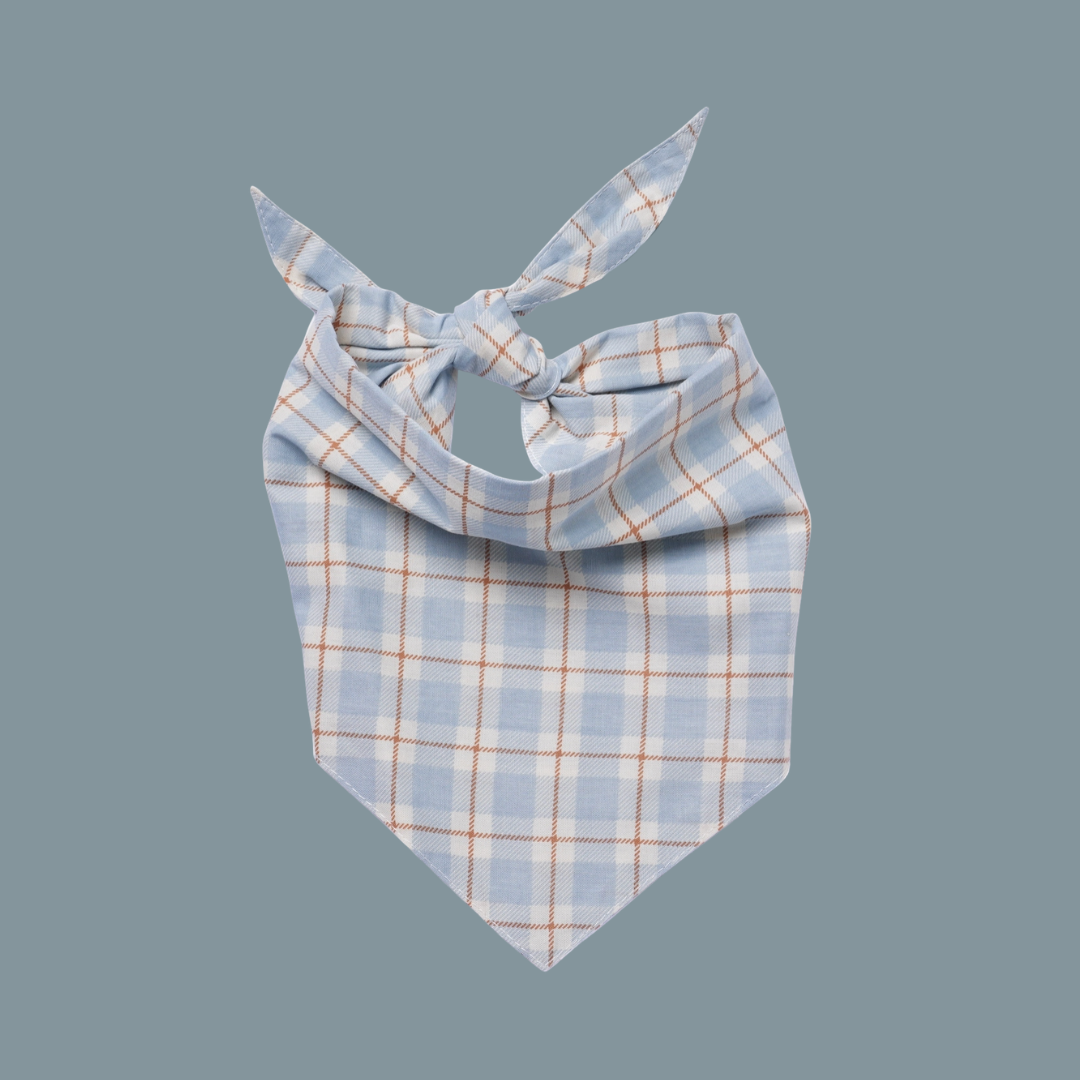 Blue Plaid Bandana - Van Emburgh Dogs