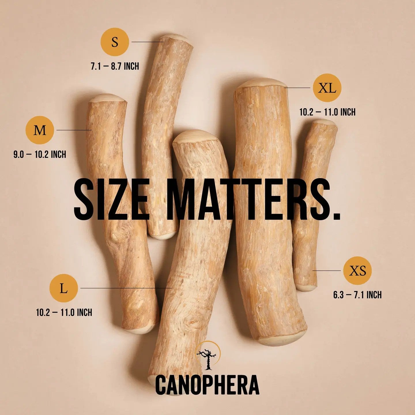Large Coffee Wood Chew