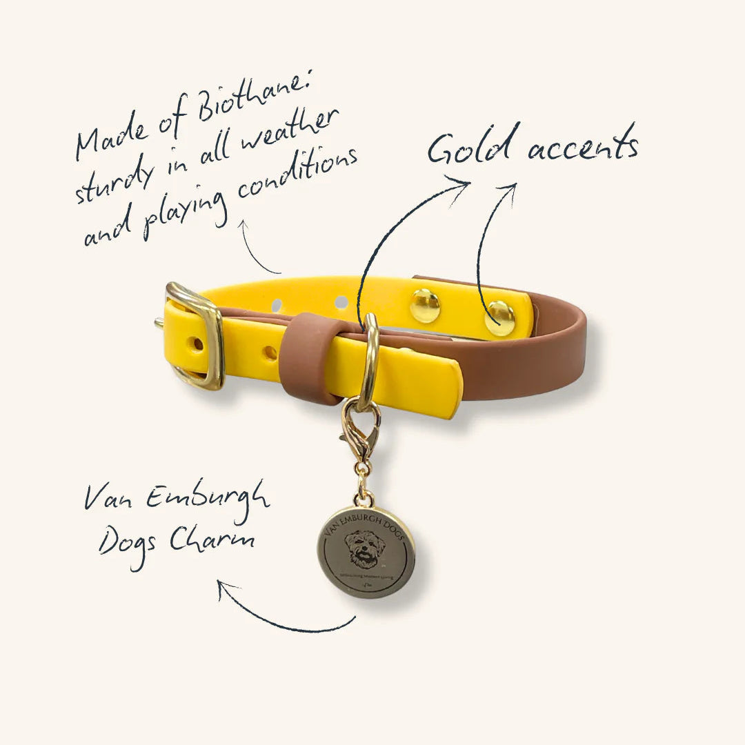 Yellow Henley Collar - Van Emburgh Dogs