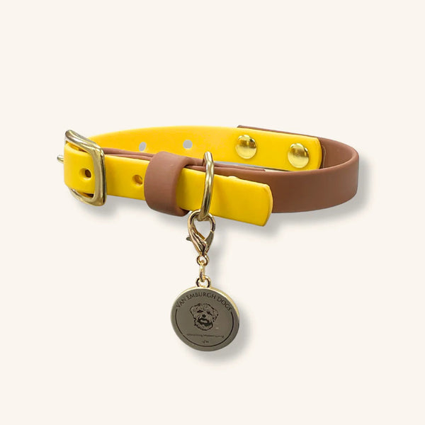Yellow Henley Collar - Van Emburgh Dogs