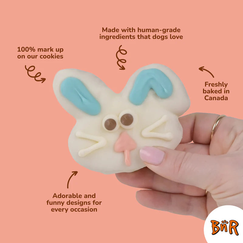 Easter Bunny Cookie