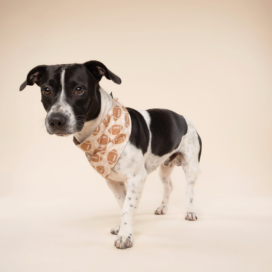 Football Bandana - Van Emburgh Dogs