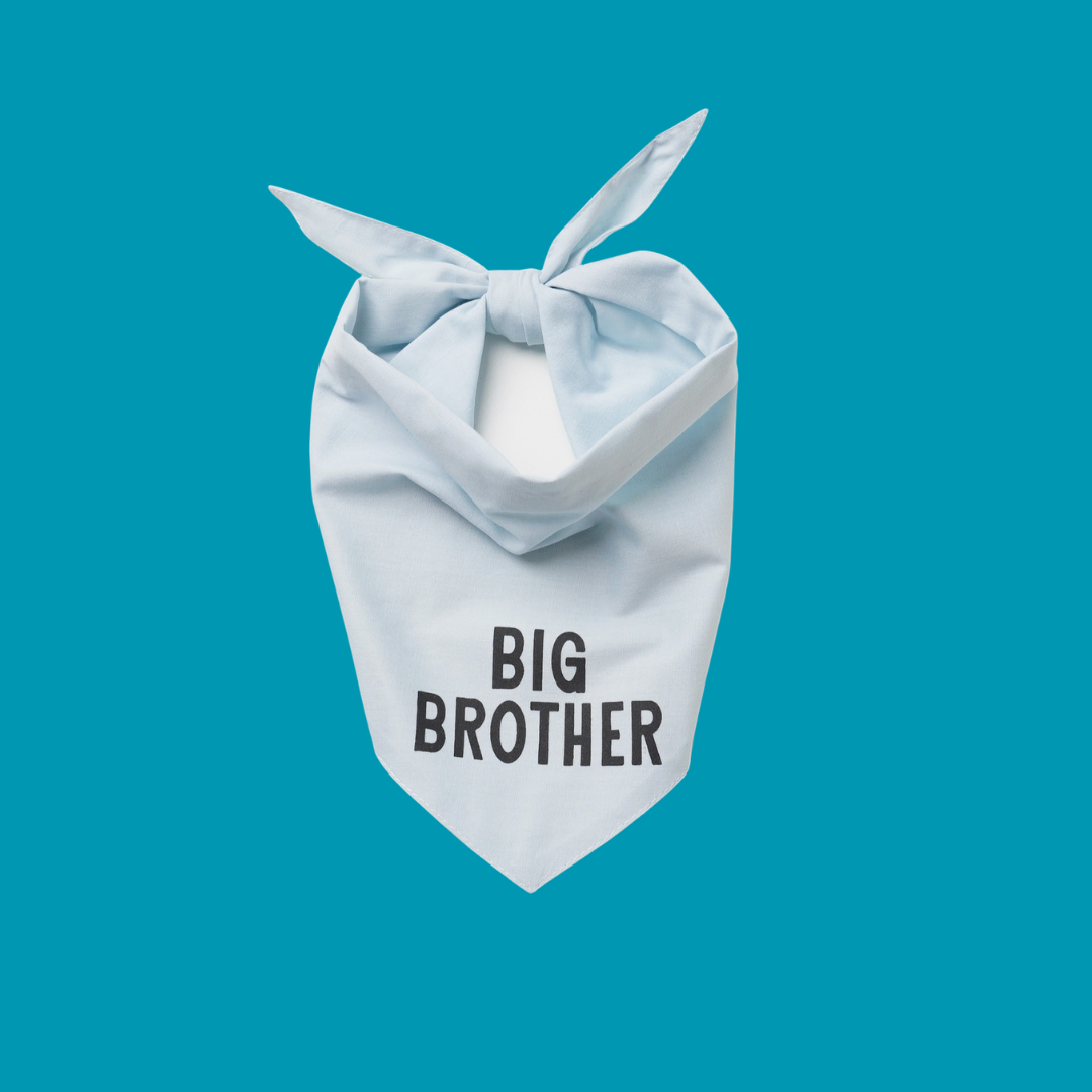 Big Brother Bandana - Van Emburgh Dogs