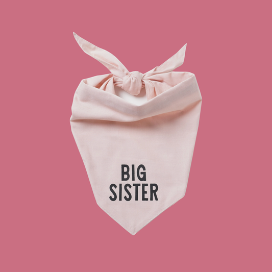 Big Sister Bandana - Van Emburgh Dogs