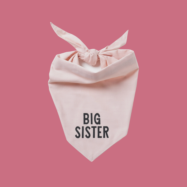 Big Sister Bandana - Van Emburgh Dogs
