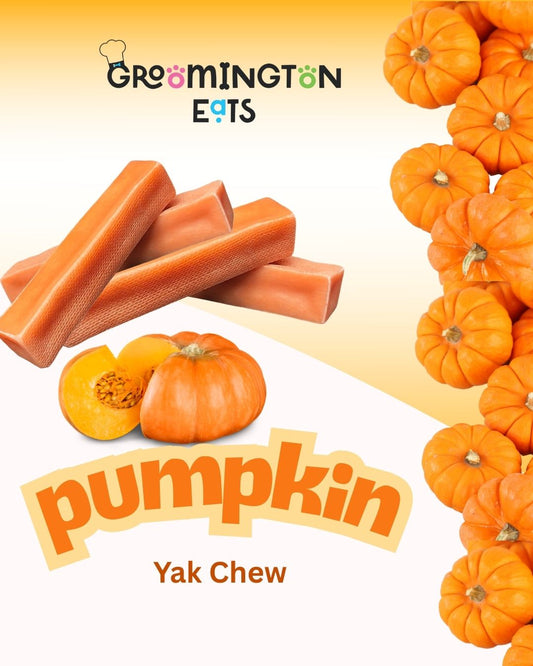 Pumpkin Himalayan Chew