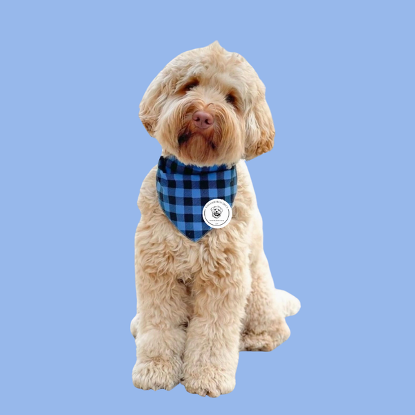 Dark Blue Plaid Bandana - Van Emburgh Dogs