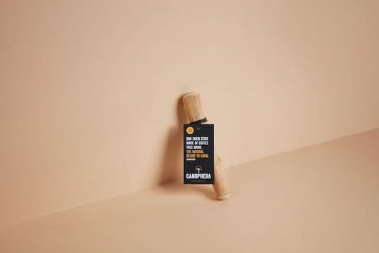 Small Coffee Wood Chew