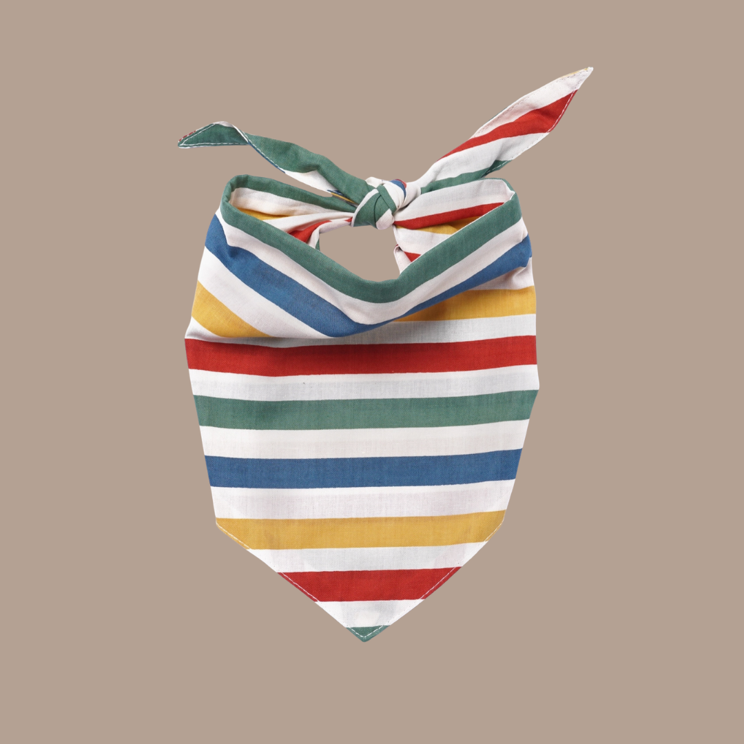 Striped Bandana - Van Emburgh Dogs