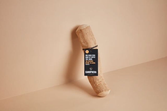 Large Coffee Wood Chew