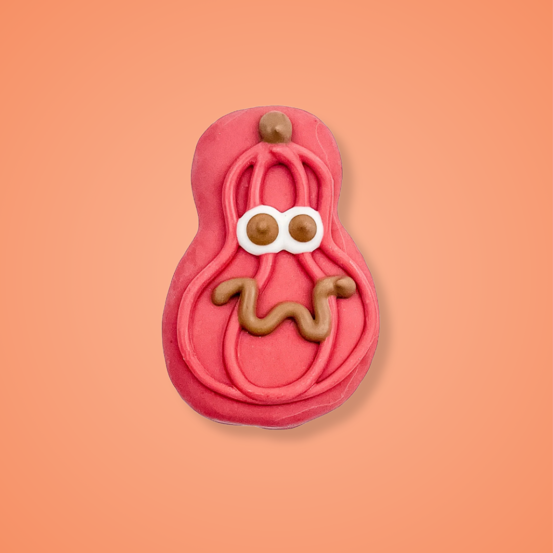 Competitive Squash Players