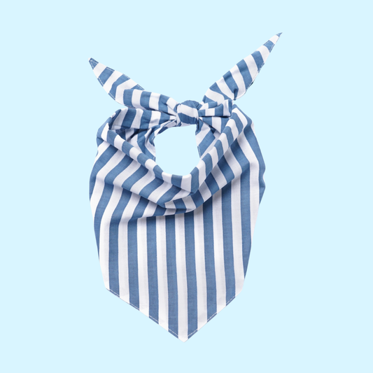 Summer Striped Bandana