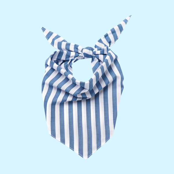 Summer Striped Bandana