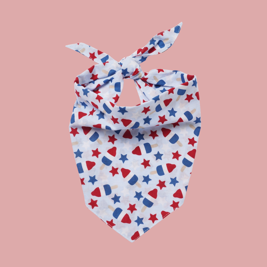Pop 4th of July Dog Bandana