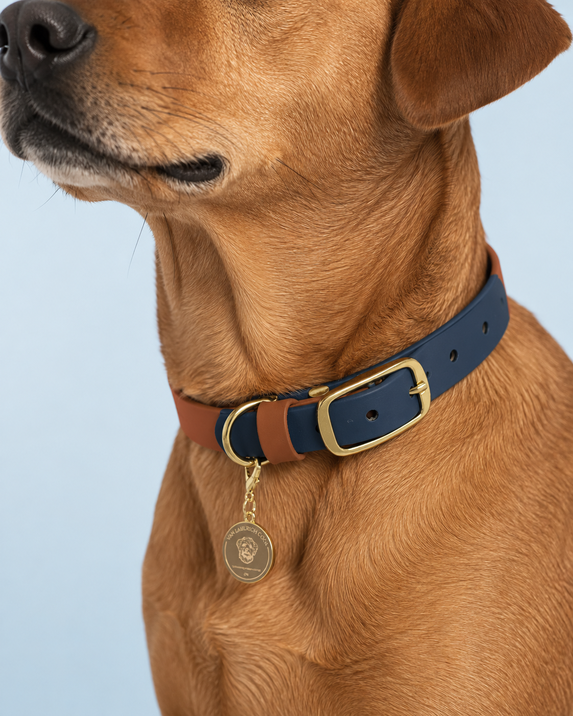 Blue Henley Collar - Van Emburgh Dogs
