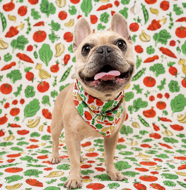 Van Emburgh Dogs - Farmers Market Bandana