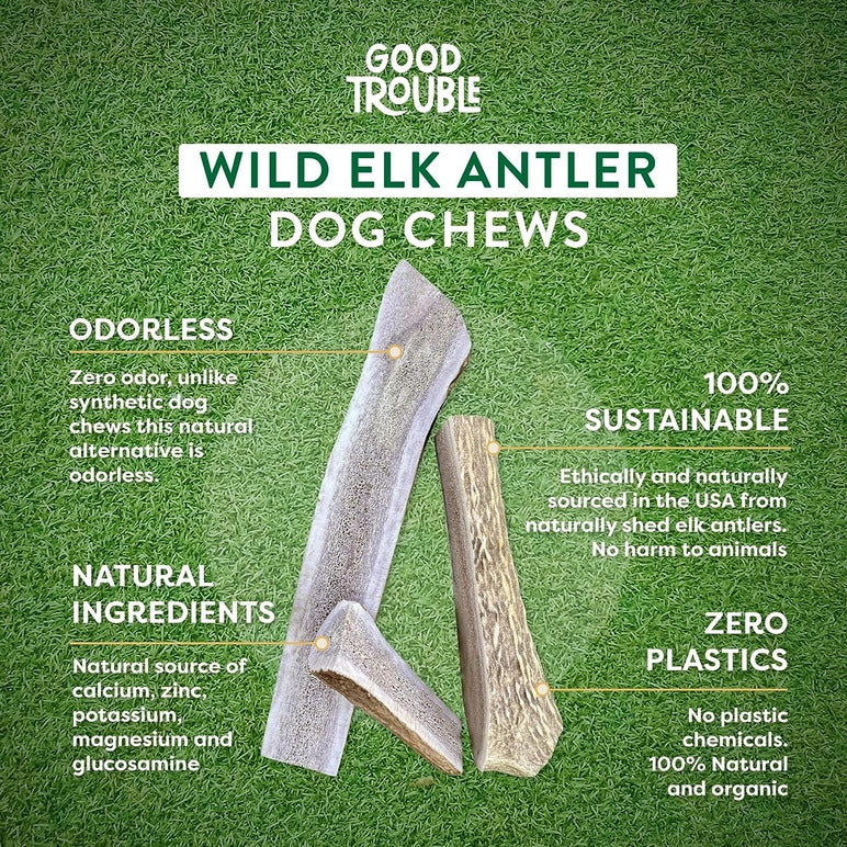 Medium Elk Antler