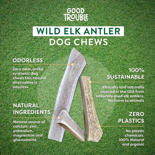 Medium Elk Antler