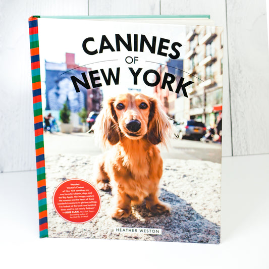Canines of New York by Heather Weston