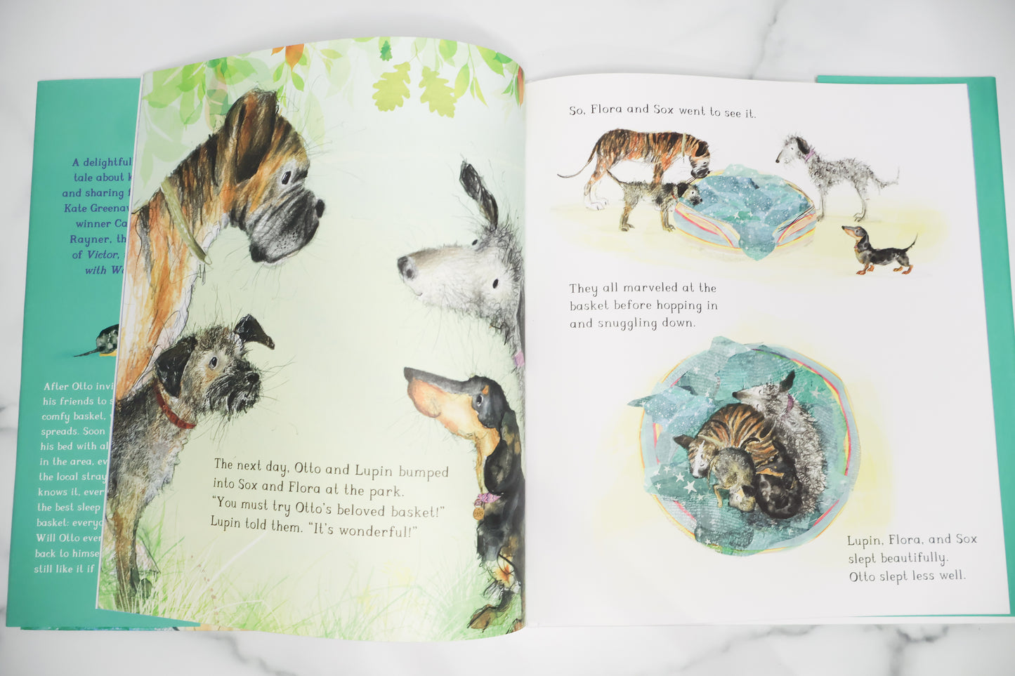 Otto The Dog That Learns to Share