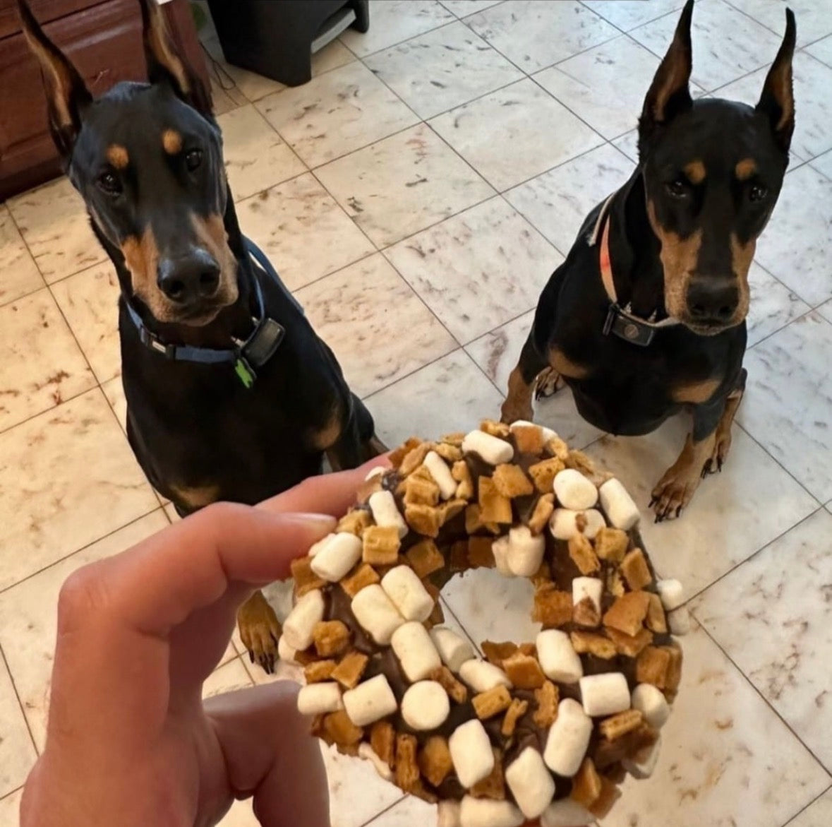 S'mores Gourmet Doggie Donut
