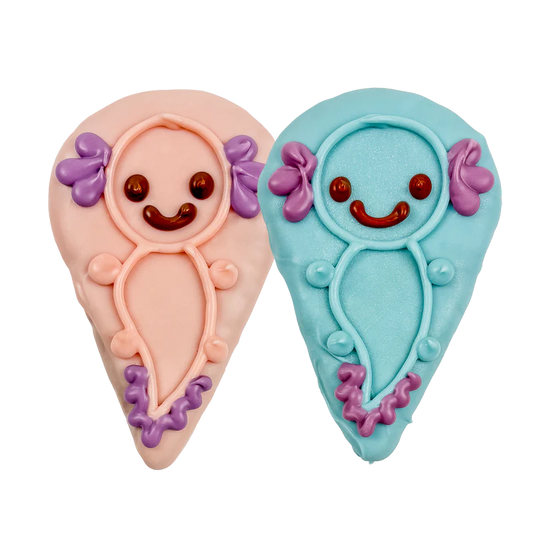 Sir-Smiles-a-Lotl Cookie