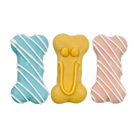 Spring Mini Bones (pack of 2)
