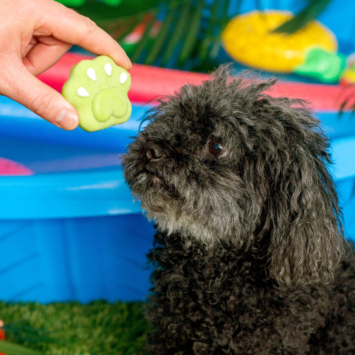 Pucker Up Paws (set of 2)